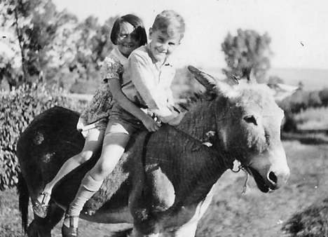 donkey ride in Ingogo, South Africa